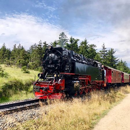 Fewo Ruebezahl Mit Kamin #Innenstadtnaehe#Netflix Von Harztraveler Бад-Гарцбург Экстерьер фото