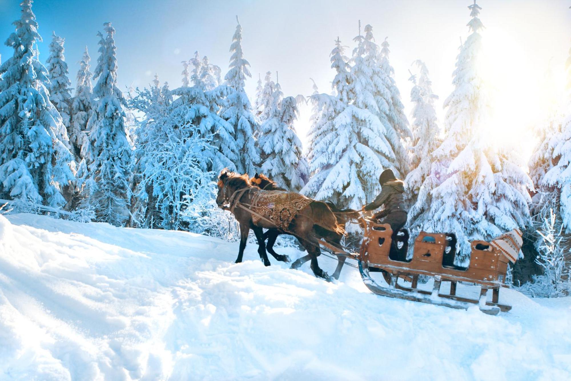 Fewo Ruebezahl Mit Kamin #Innenstadtnaehe#Netflix Von Harztraveler Бад-Гарцбург Экстерьер фото